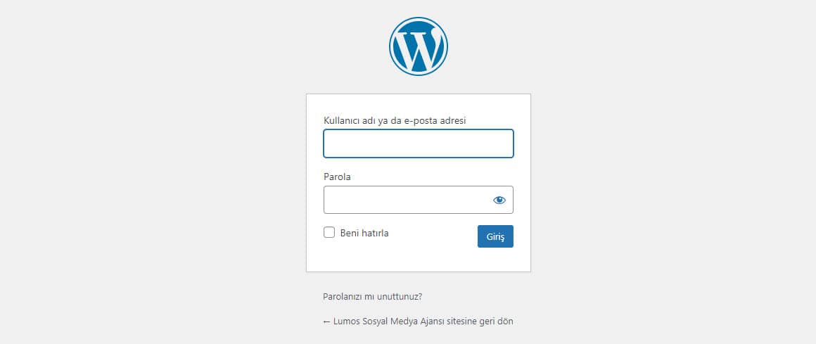 Wordpress Yazı Ekleme