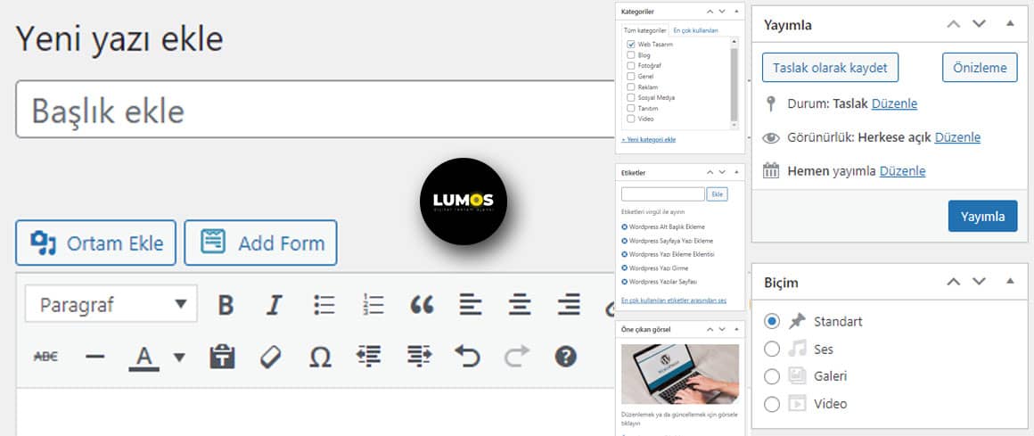 Wordpress Yazı Girme