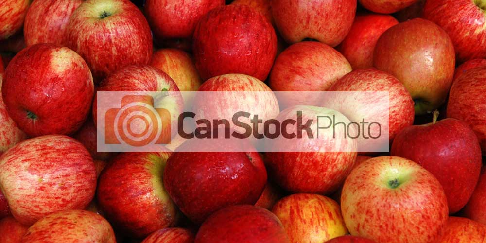 CanStockPhoto Para Kazanma