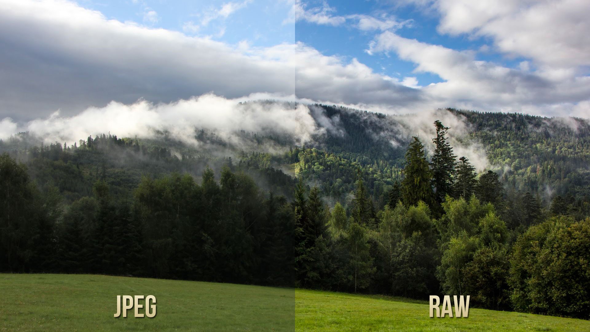 RAW ve JPEG Farkları